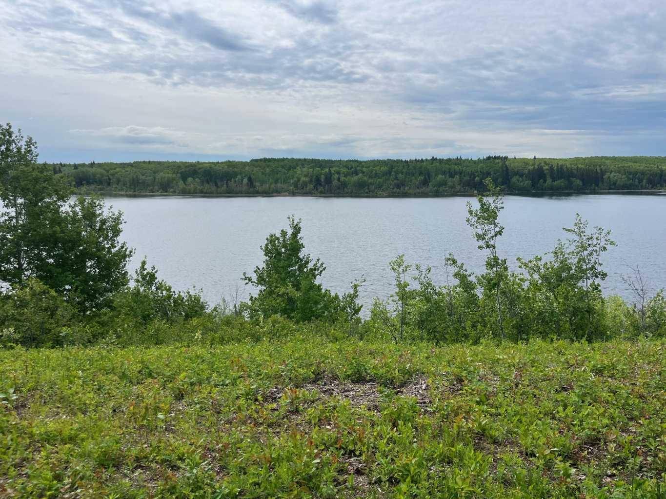 Rural, SK S0M 1L0,Lot 5 Murphy Lake, RM of Loon Lake