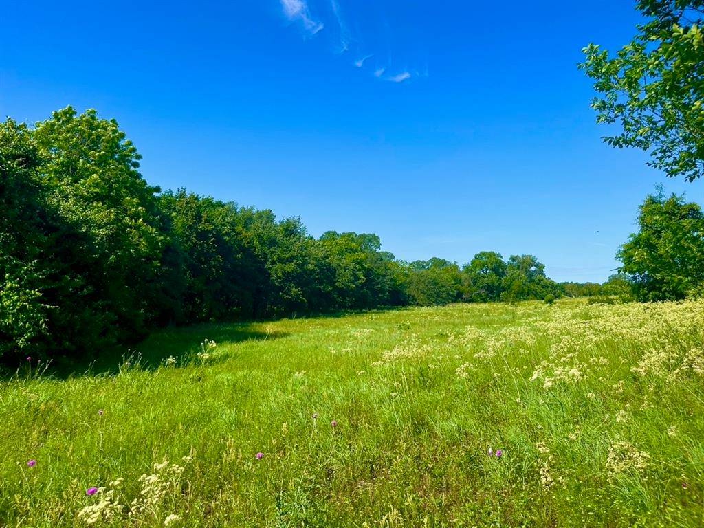 Poolville, TX 76487,Lot 67 Kilkenny Road