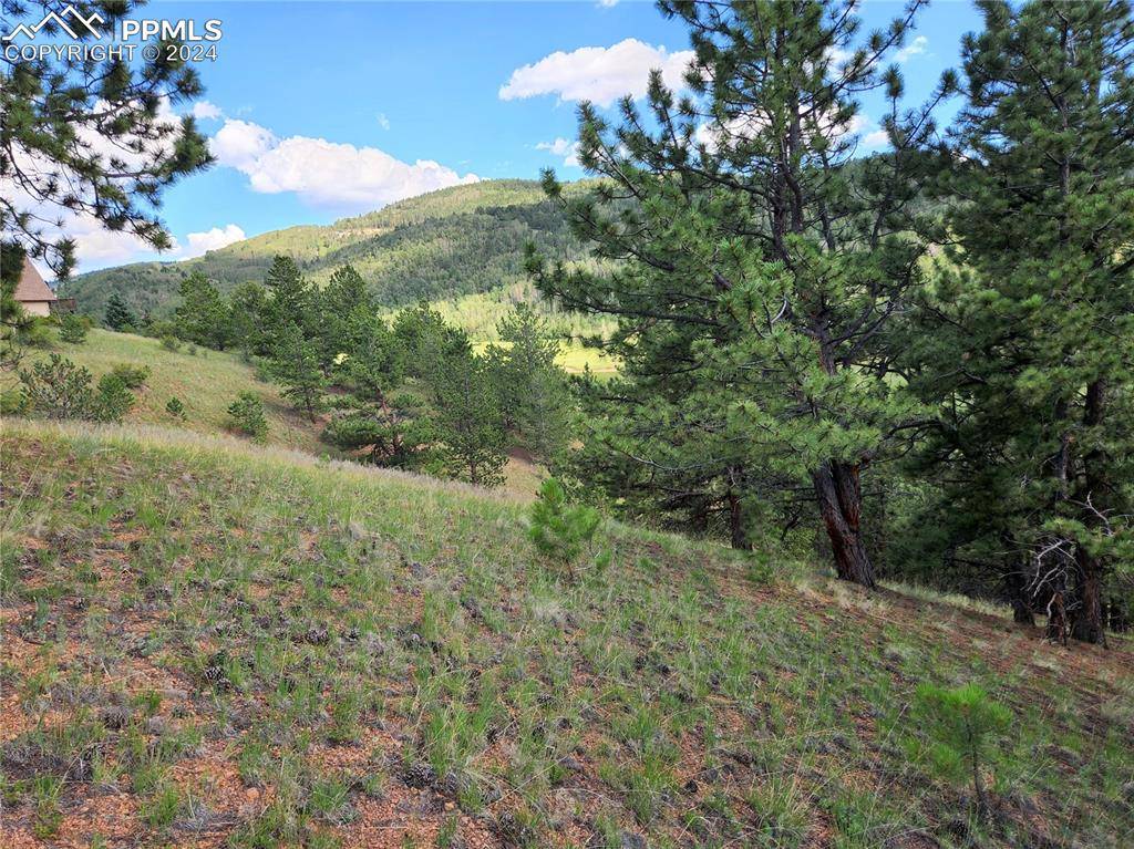 Cripple Creek, CO 80813,770 Copper Mountain DR