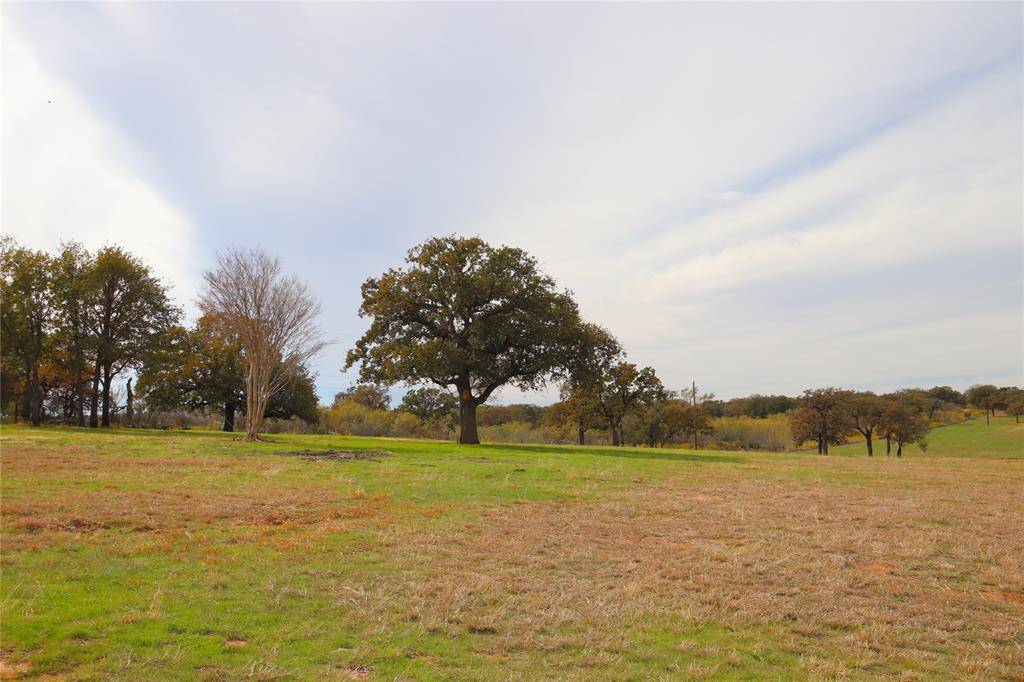 Lipan, TX 76462,Lot 5 Dyer Road