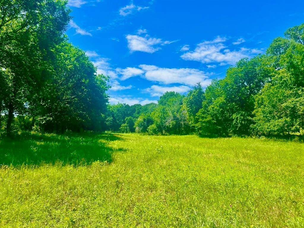 Poolville, TX 76487,Lot 101 Arlow Rd