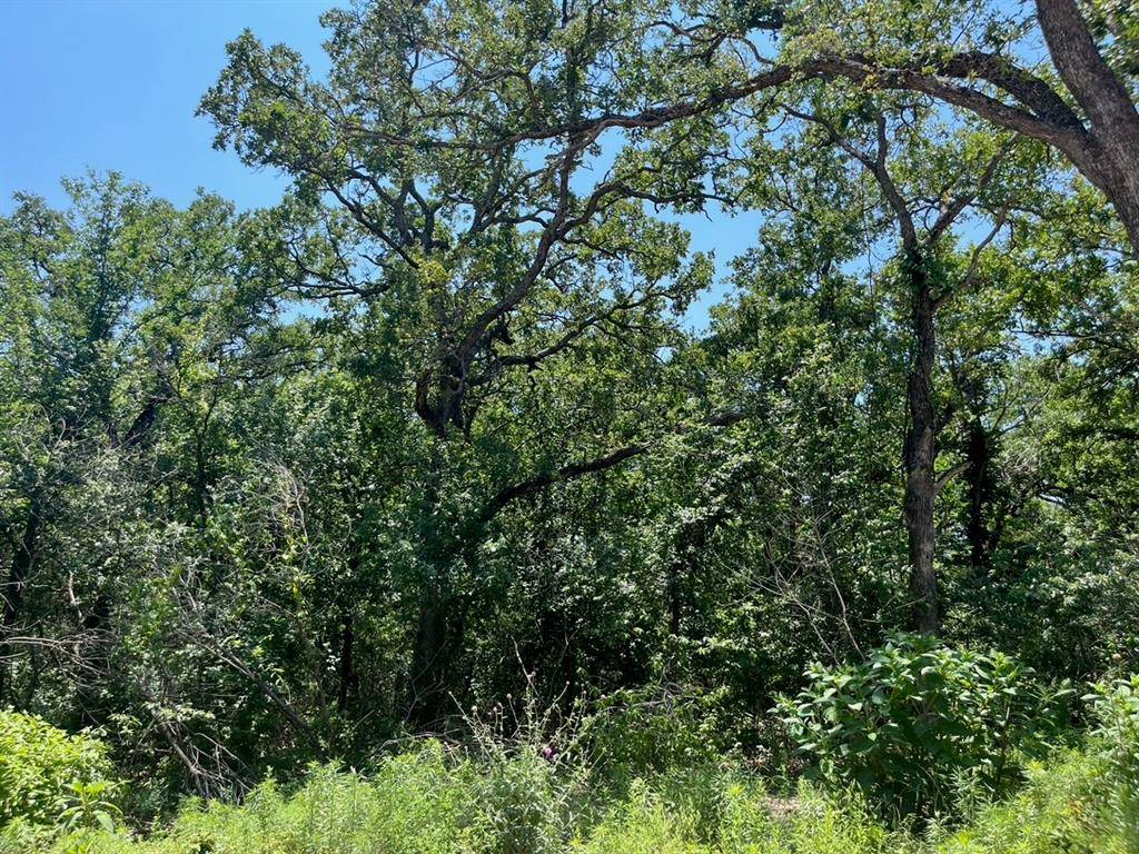 Poolville, TX 76487,Lot 77 Kilkenny Road