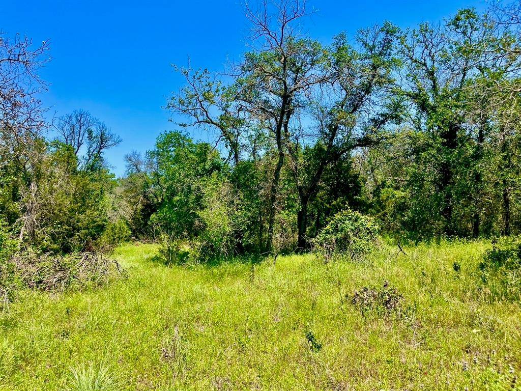 Poolville, TX 76487,Lot 80 Kilkenny Road