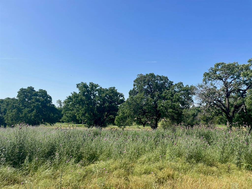 Poolville, TX 76487,Lot 74 Kilkenny Rd Road