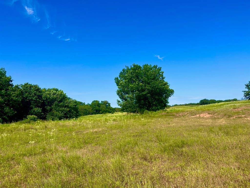 Poolville, TX 76487,Lot 66 Kilkenny Road