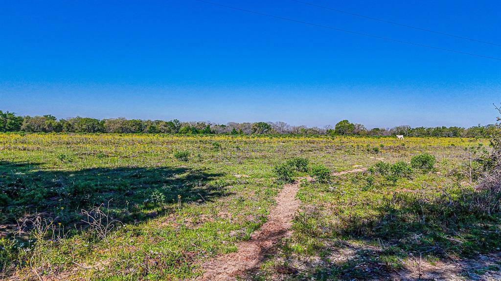 Fairfield, TX 75840,209 CR 221