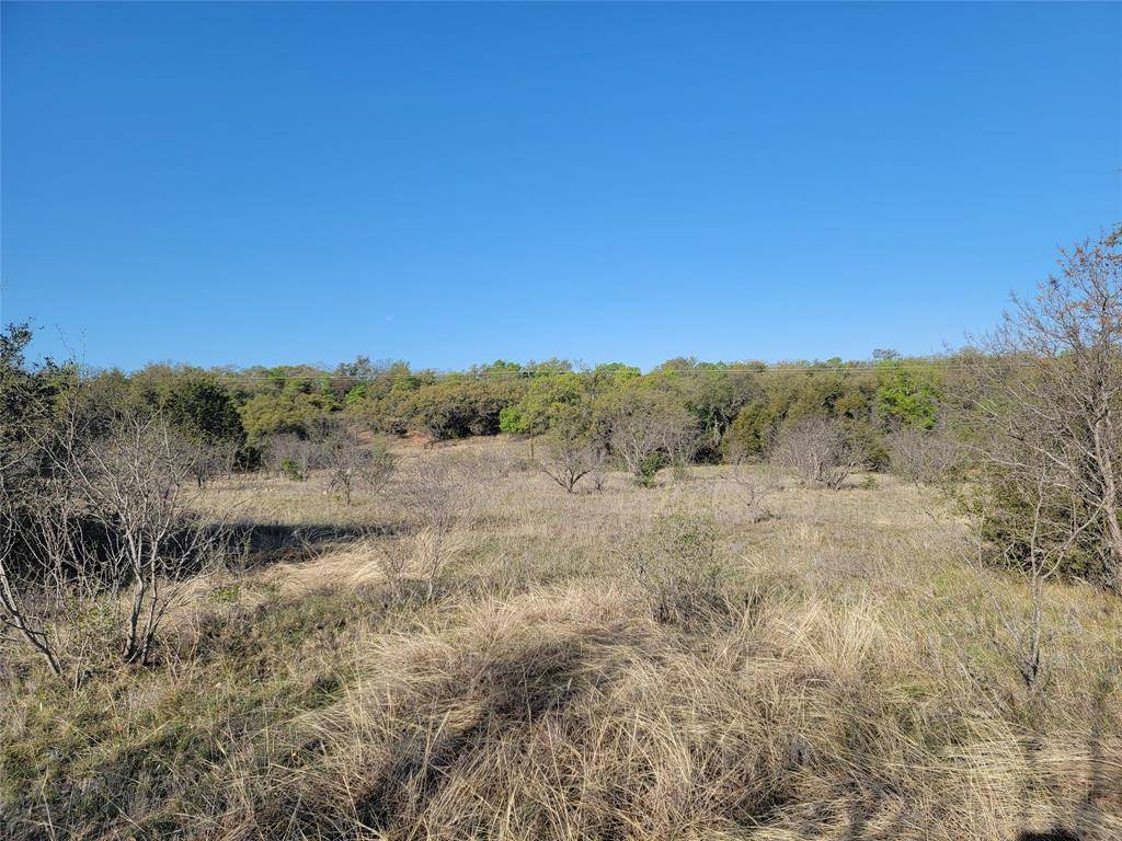 Brownwood, TX 76801,TBD Carie Drive