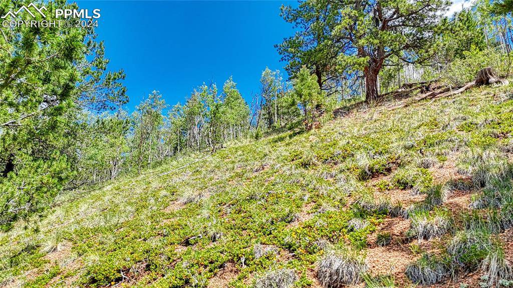 Cripple Creek, CO 80813,348 Granite LN