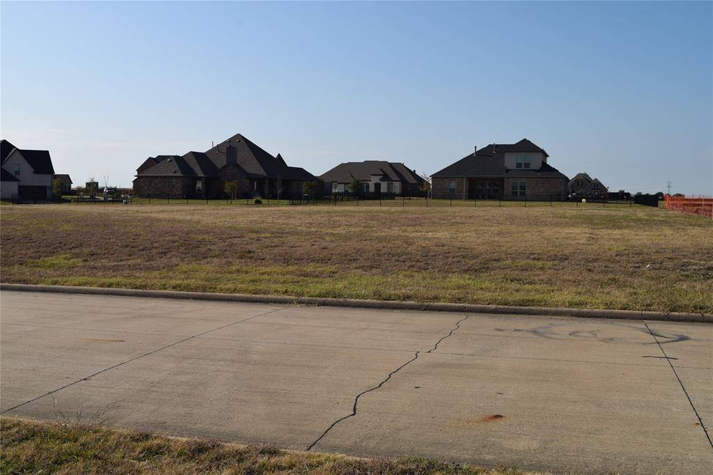 Gunter, TX 75058,1041 Bent Tree Lane