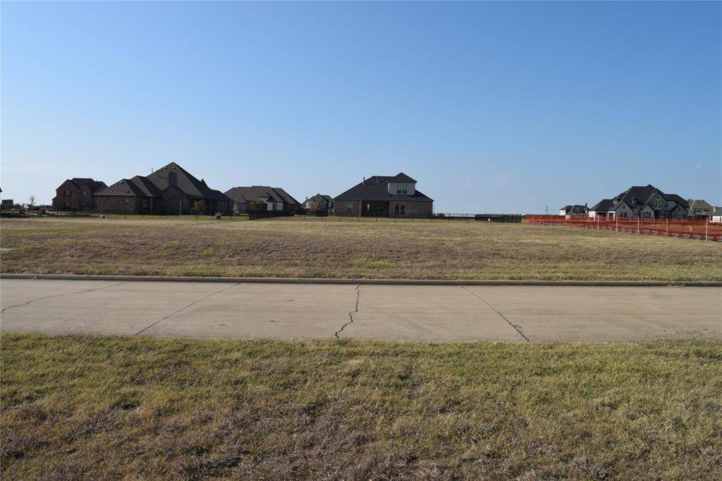 Gunter, TX 75058,1041 Bent Tree Lane