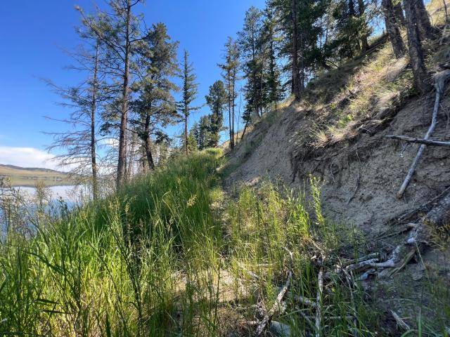 8615 OLD KAMLOOPS RD, Stump Lake, BC V0E 2R0