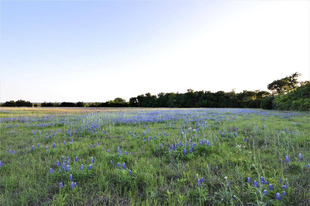 Clifton, TX 76634,TBD Fm 2136