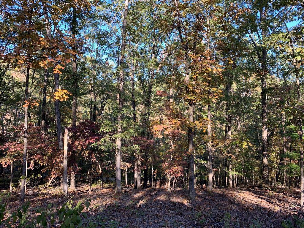 Broken Bow, OK 74728,Lot 26 Little Creek Lane