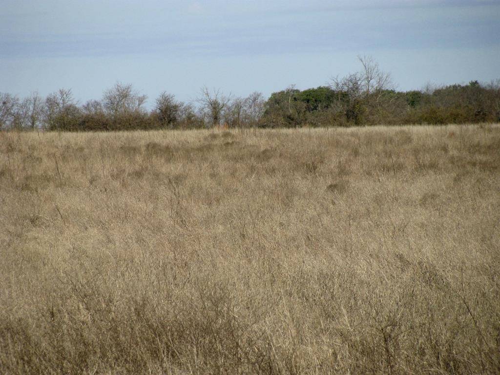 Evant, TX 76525,TBD S Hwy 281