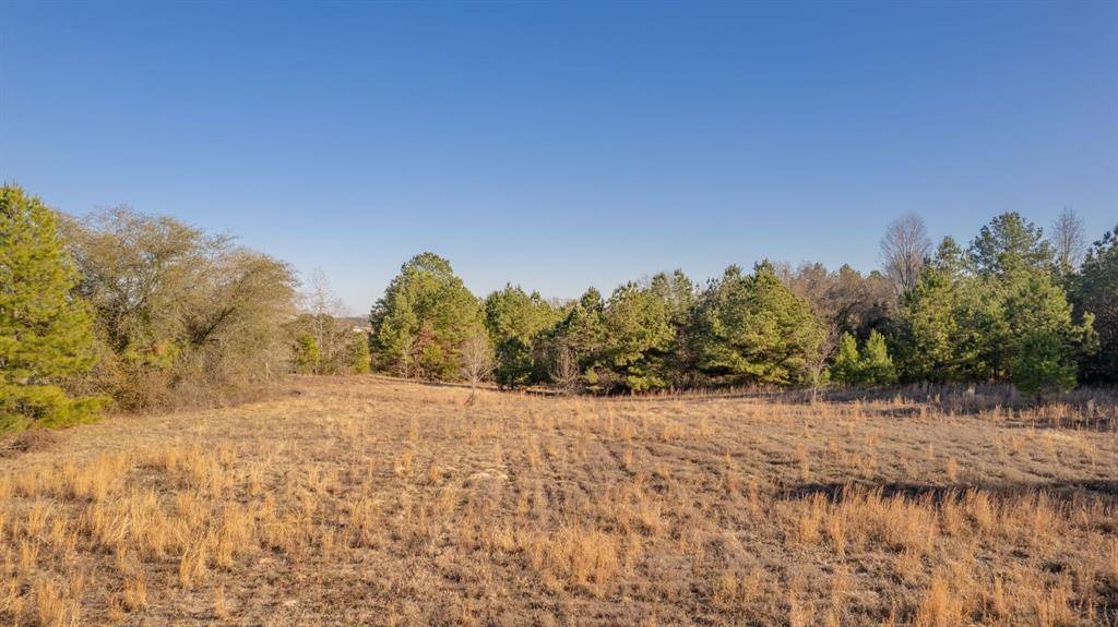 Winona, TX 75706,TBD Lot 2 FM 2015