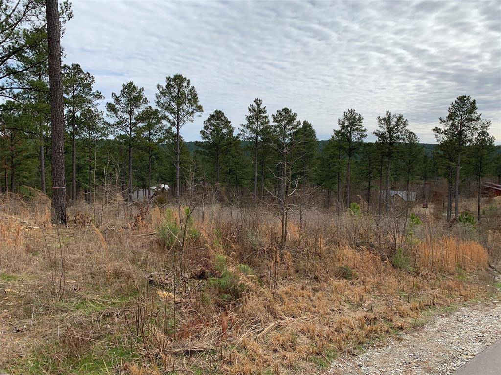 Broken Bow, OK 74728,Lot 10 Eagle Mountain