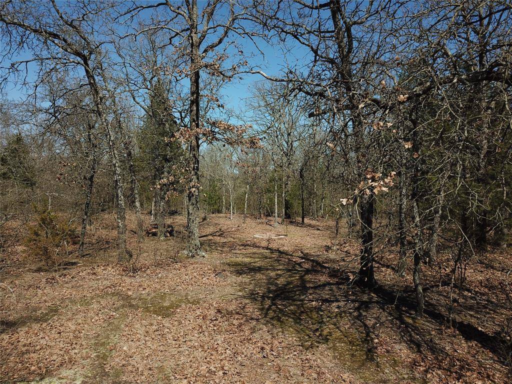 Quinlan, TX 75474,LOT 7 HIDEAWAY Lane