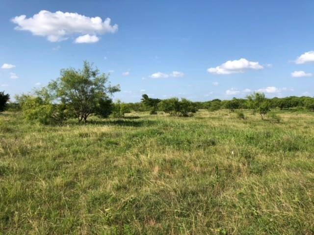 Grandview, TX 76050,TBD CR 206