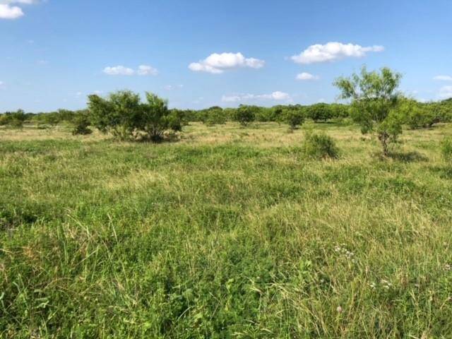 Grandview, TX 76050,TBD CR 206