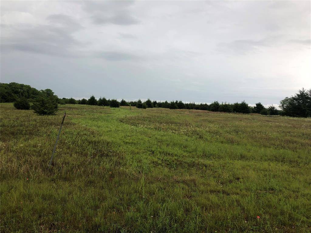 Bonham, TX 75418,000 S Hwy 78