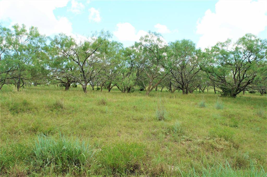 No City, TX 76880,TBD Private Rd. 533