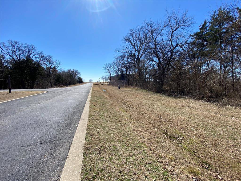 Gordonville, TX 76245,LOT 88A Stonewolf Court