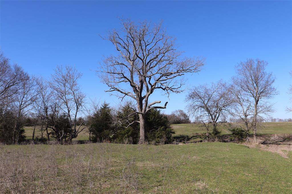 Lone Oak, TX 74523,33 Ac FM 513