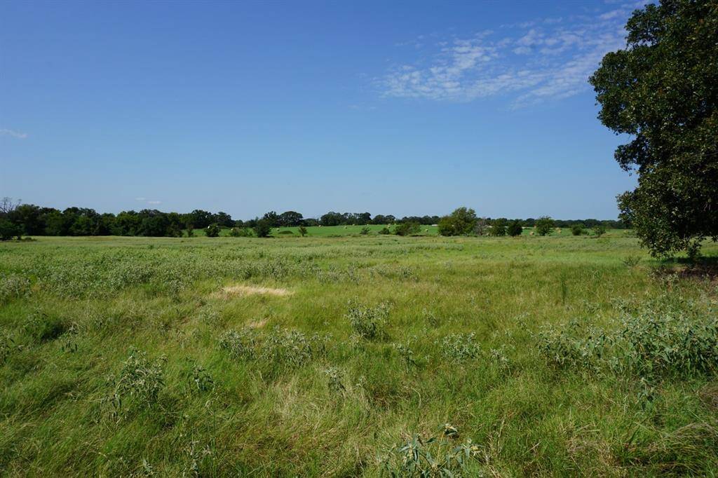 Malakoff, TX 75148,01 CR 1313