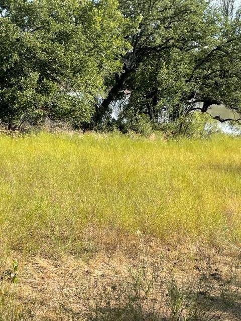 De Leon, TX 76444,000 CR 193