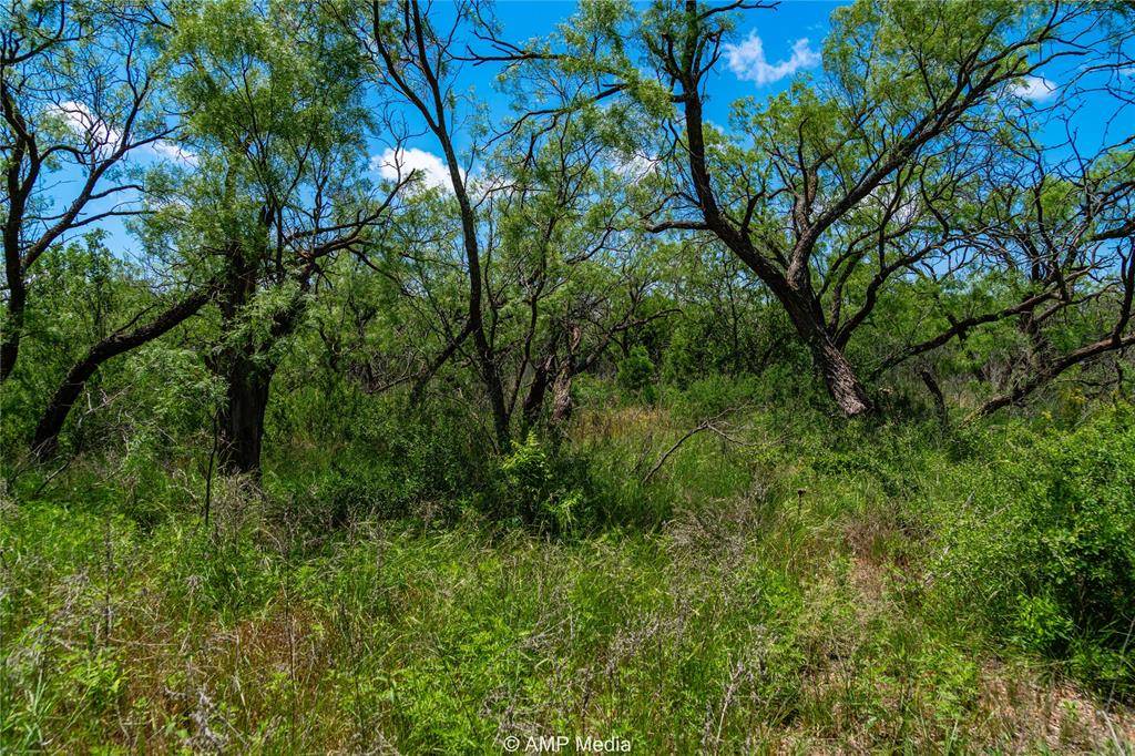 Merkel, TX 79536,TBD CR 378