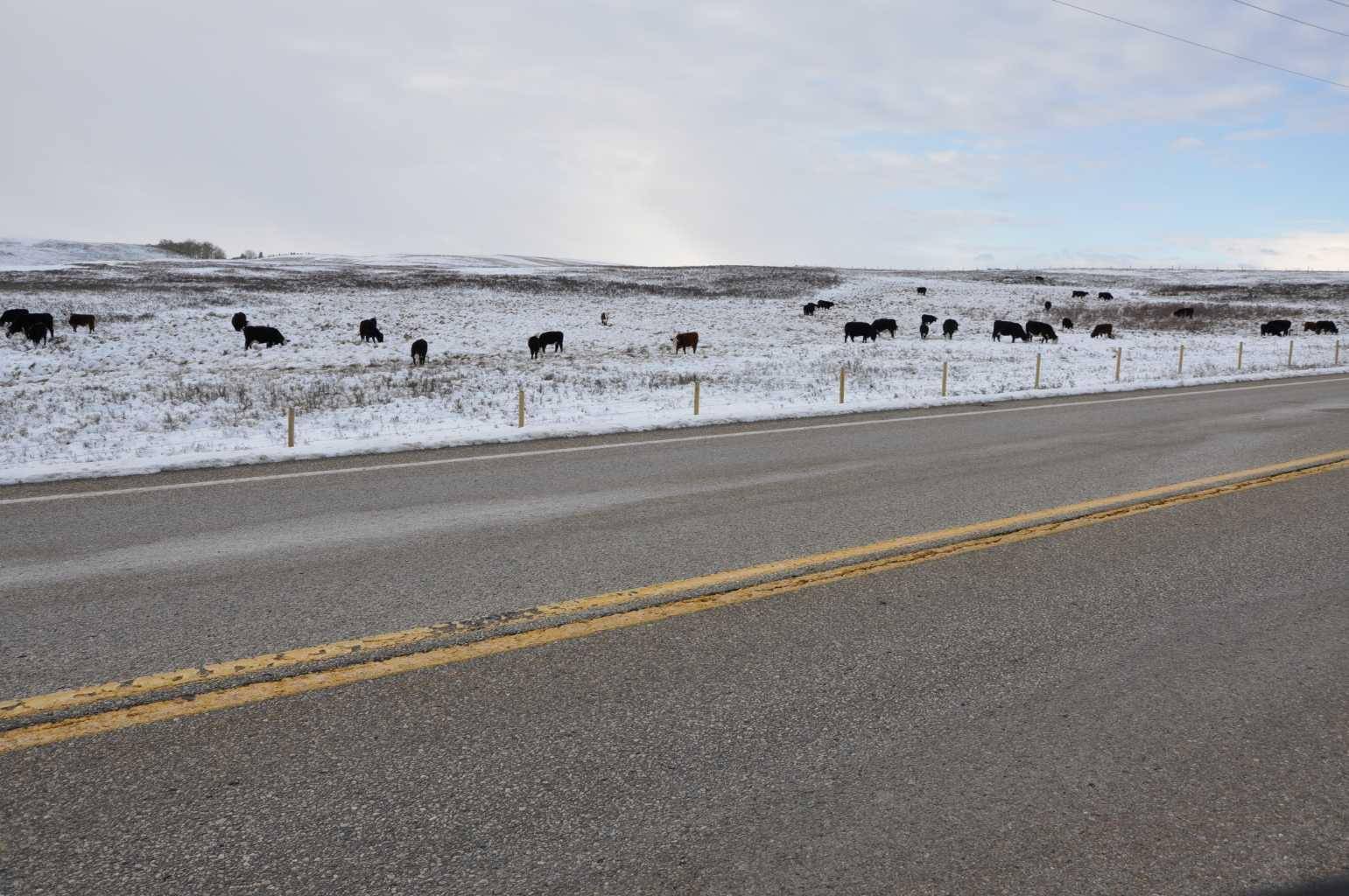 Rural Rocky View County, AB T0T 0T0,Range Road 14 Big Hill Springs