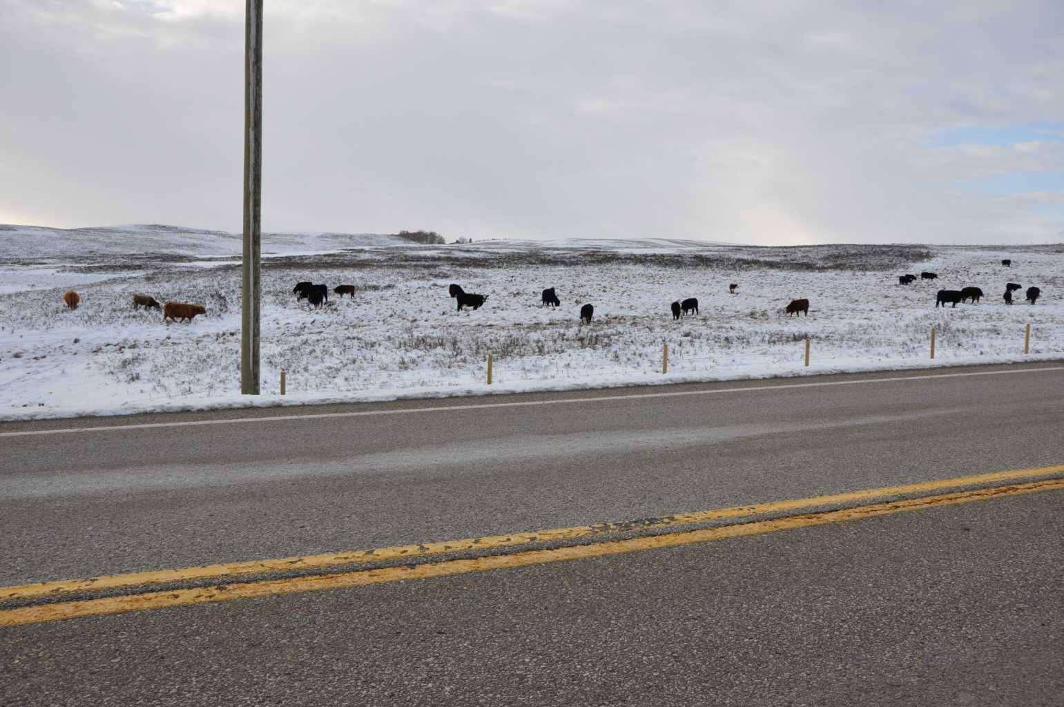 Rural Rocky View County, AB T0T 0T0,Range Road 14 Big Hill Springs