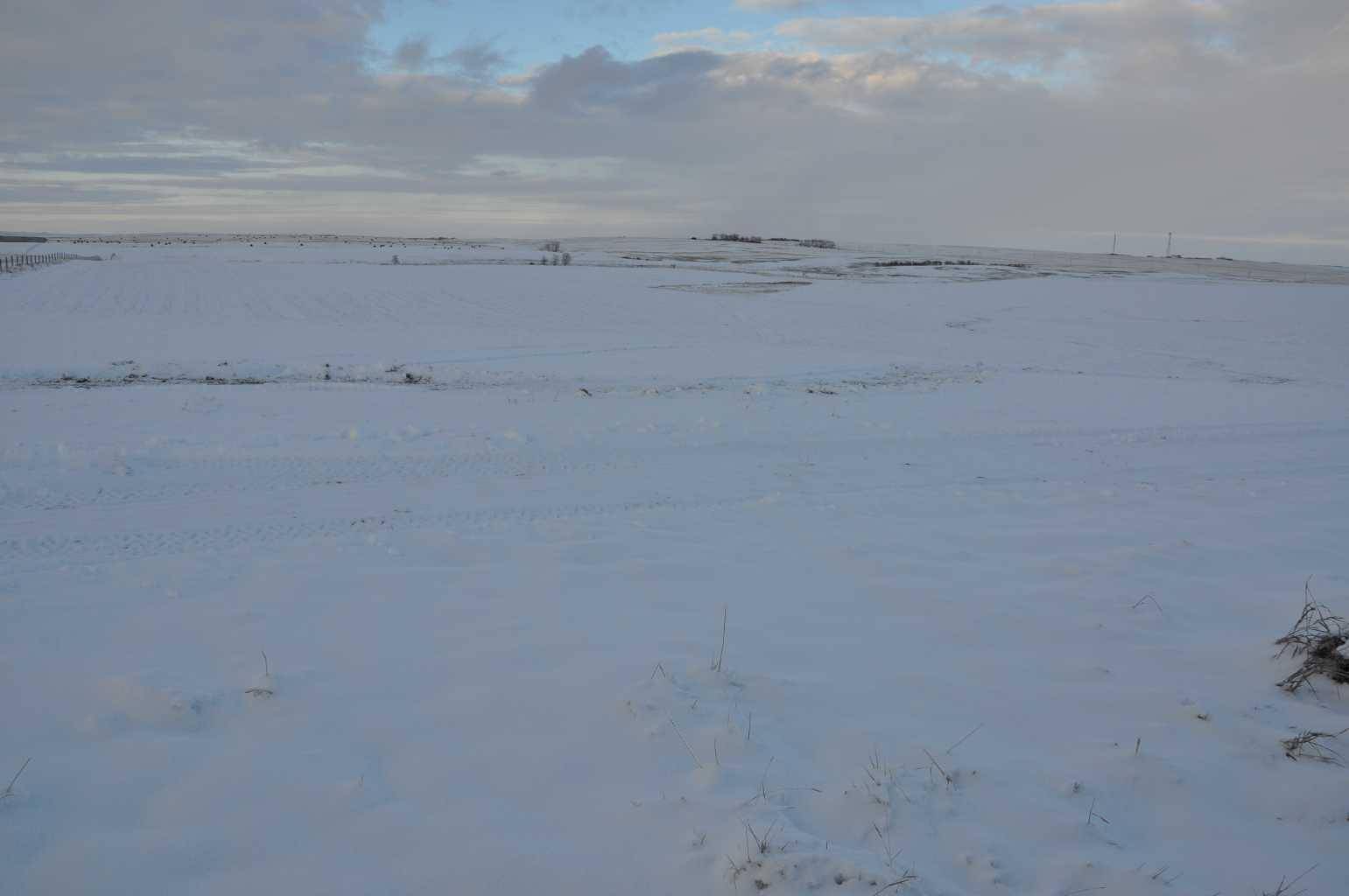 Rural Rocky View County, AB T0T 0T0,Range Road 14 Big Hill Springs