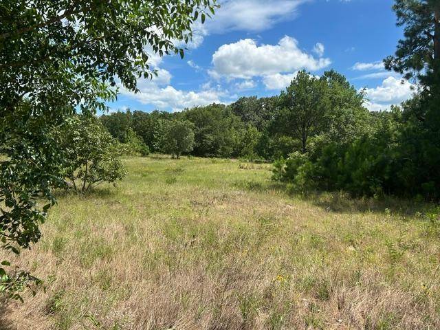 Grand Saline, TX 75140,TBD 20.68 AC HWY 80