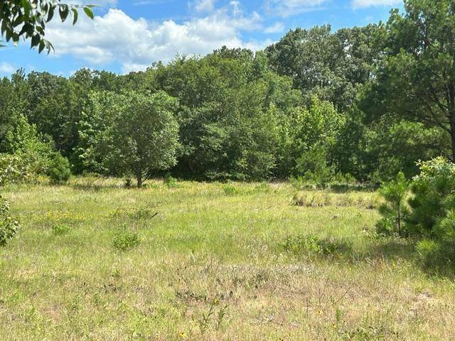 Grand Saline, TX 75140,TBD 20.68 AC HWY 80