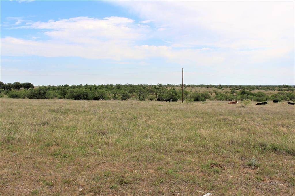 Carlton, TX 76436,T2 TBD Fm-2823