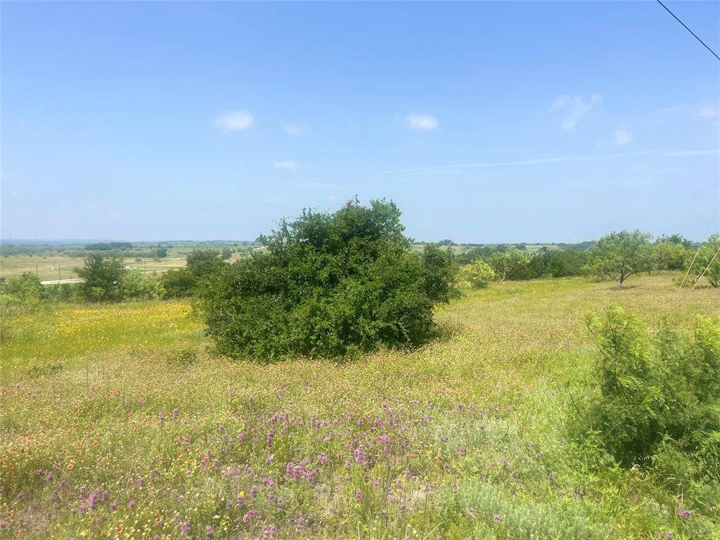 Comanche, TX 76442,Mercers Preserve, Lot 97 Comanche Lake Road