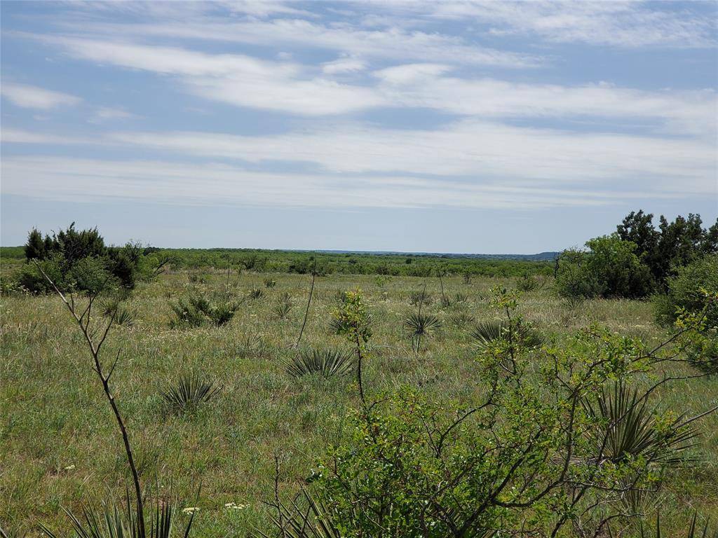 Coleman, TX 76834,TBD N Hwy 84