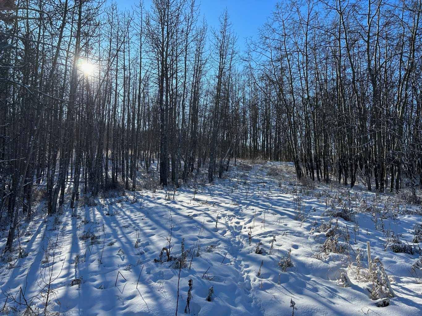 Rural Rocky View County, AB T2M 2E8,Lot 9 Elkstone EST