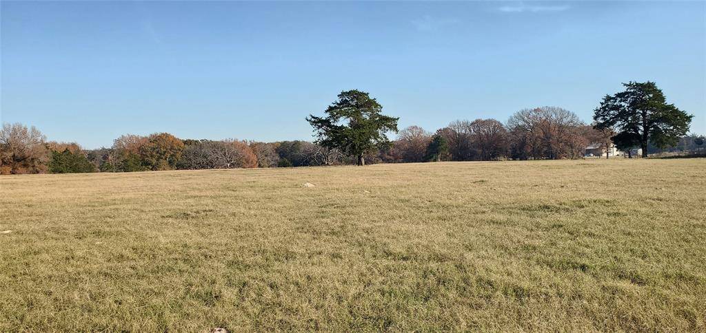 Canton, TX 75103,0000 VZ COUNTY ROAD 1107