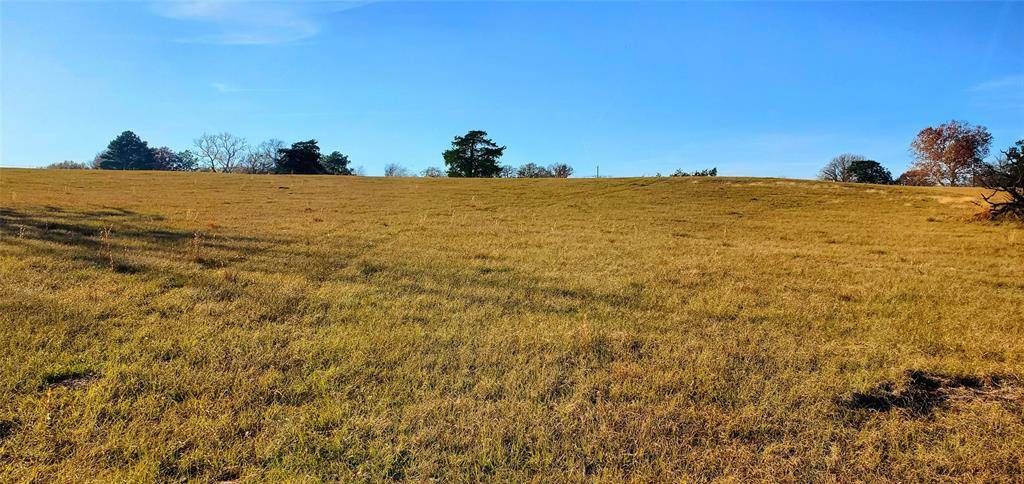 Canton, TX 75103,0000 VZ COUNTY ROAD 1107