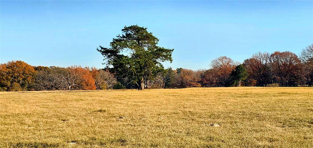 Canton, TX 75103,0000 VZ COUNTY ROAD 1107