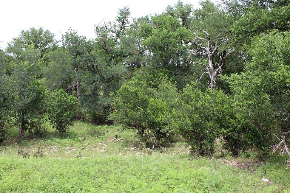 Richland Springs, TX 76871,CR 354 and CR 352 County Road