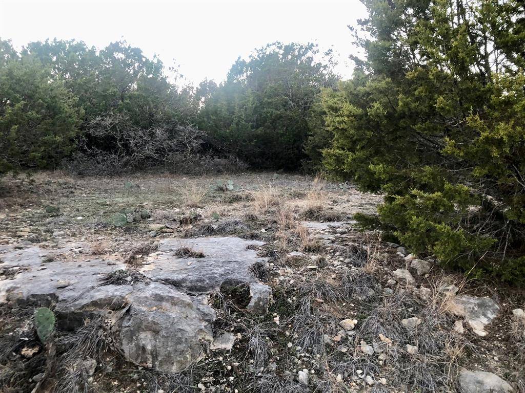 Possum Kingdom Lake, TX 76449,Lot 7 Glen Abbey Drive S