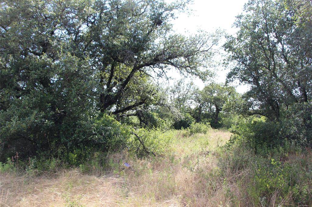 Cisco, TX 76437,TBD Lot 102/103 Hidden Shores Drive