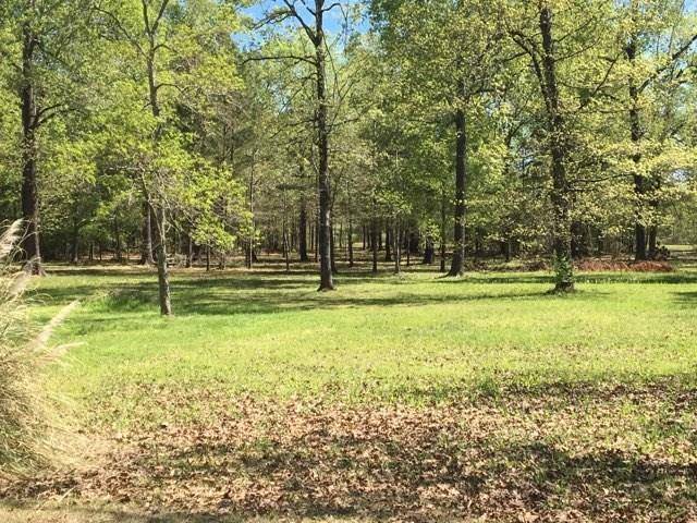 Benton, LA 71006,0 Angie Circle #11