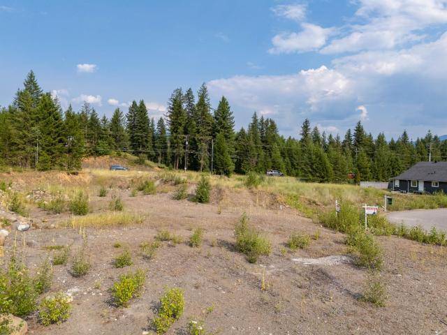 465 LYTTON CRES, Clearwater, BC