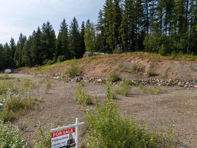 465 LYTTON CRES, Clearwater, BC