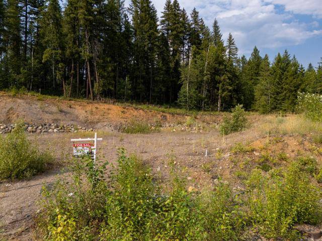 465 LYTTON CRES, Clearwater, BC