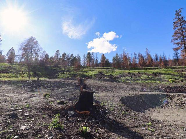 1419 LITTLE SHUSWAP LAKE ROAD, Chase, BC V0E 1M2